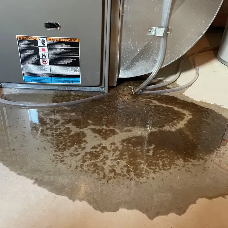 Appliance Leak Cleanup in Follansbee, WV